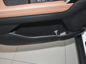 2021款Ace 2.0L 精彩版 前门储物空间