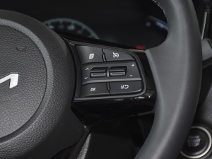 2021Ace 2.0L ʰ п؅^