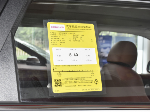 2021款Ace 2.0L 精彩版 工信部油耗标示