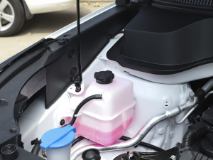 2021款Ace 1.5T GT Line 聚变版 其它