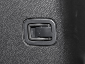 2021A(y)ce 2.0L (zhn) g