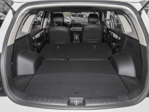 2021A(y)ce 2.0L (zhn) g