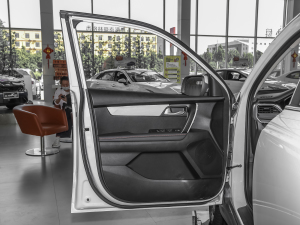 2021Ace 2.0L (zhn) {λ܇T