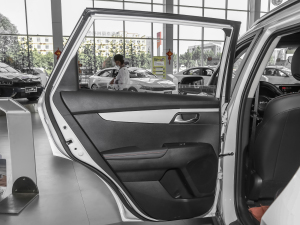 2021Ace 2.0L (zhn) ܇T