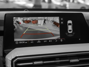 2021Ace 2.0L (zhn) п_@ʾ