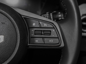 2021A(y)ce 2.0L (zhn) п؅^(q)