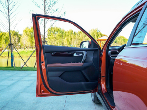 2021Ace 2.0L ʰ {λ܇T