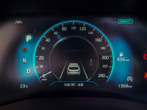 2021Ace 2.0L ʰ п؅^(q)