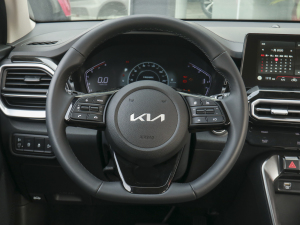 2021款Ace 2.0L 探索版 方向盘