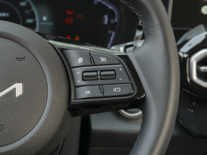 2021A(y)ce 2.0L ̽ п؅^(q)