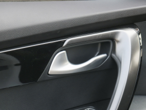 2021Ace 2.0L ̽ п؅^(q)