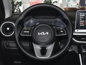 2021款改款 1.5L CVT青春版 方向盘