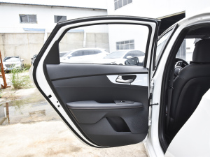 2021款1.4T DCT GT-Line奋斗互联版 左后车门
