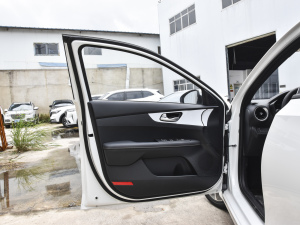 2021款1.4T DCT GT-Line奋斗互联版 驾驶位车门