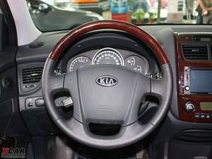 2009款2.0GLS 两驱手动版 方向盘