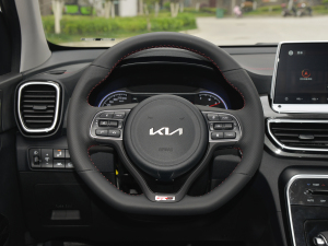 2021款1.6T DCT四驱焕新版 方向盘