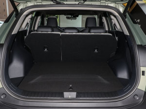 20232.0L HEV (q)Ş g