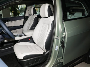 20232.0L HEV (q)Ş {