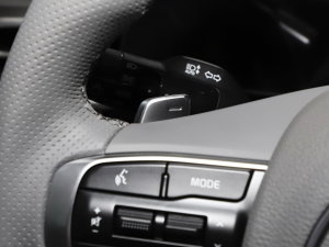 20231.5T (q)F п؅^(q)