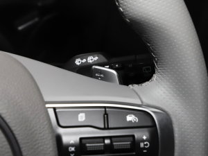 20231.5T (q)F п؅^(q)