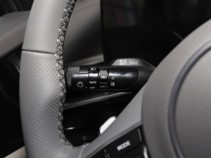 20231.5T (q)F п؅^(q)