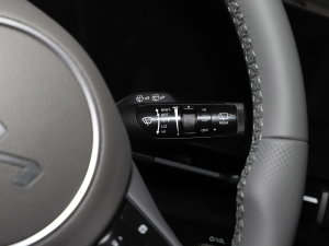 20231.5T (q)F п؅^(q)