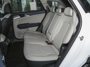 2023款2.0L HEV 两驱尊贵版 后排座椅