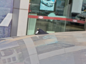 20111.6L Premium ԄӰ ^