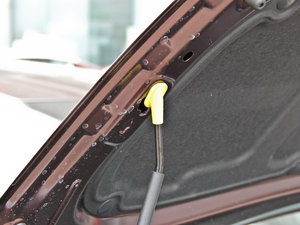 20141.6L ԄPremium Special 