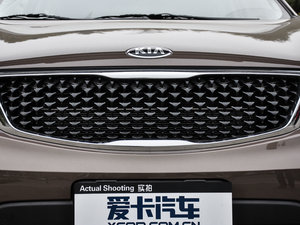 2015款2.0L 自动两驱版GL 中网