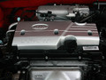 2007��RIO��ŷ����