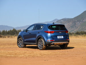 20161.6T ԄPremium 45