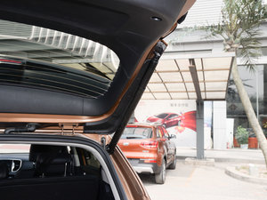 20161.6T ԄӃ(q)Premium g