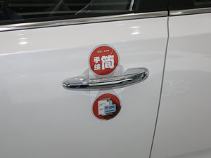 2017款1.6T 自动T-GLS Special 主驾门拉手