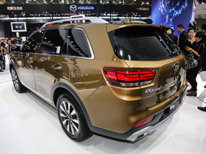 2017��2.0L T-GDI �Ԅ����LUX ���w���^