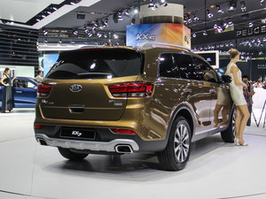 2017��2.0L T-GDI �Ԅ����LUX ���w���^