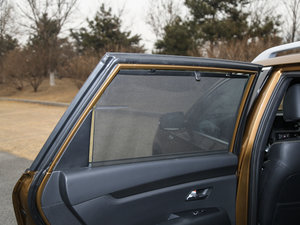 20172.0L T-GDI ԄLUX g