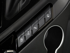 20172.0L T-GDI ԄLUX п؅^