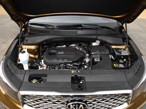 2017款2.0L T-GDI 自动四驱LUX 发动机