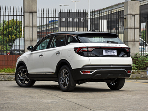 20191.6T ԄAII(lng) V 45