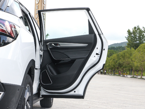 20201.6T ԄAIŞ VI g