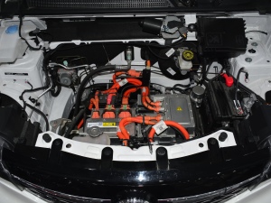 2021|(zh) l(f)(dng)C(j)