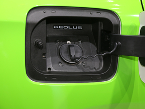 2020EV500 I(lng) (x)(ji)^
