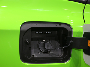 2020EV500 I(lng) (x)(ji)^