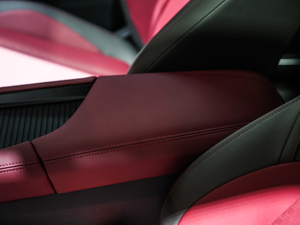 2021PRO 1.6T ԄӘsҫ 