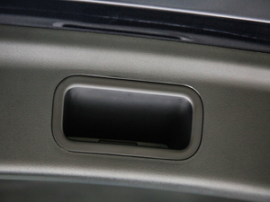 2021PRO 1.6T ԄӘsҫ g