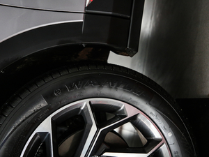 2021PRO 1.6T Ԅ(dng)ܰ (x)(ji)^