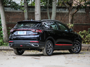 2021PRO 1.6T Ԅܰ w^