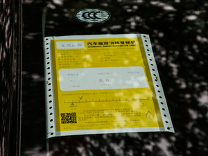 2021PRO 1.6T Ԅܰ ŲͺĘʾ