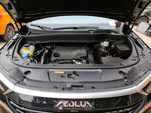 2021PRO 1.6T Ԅܰ lәC